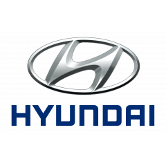 Óleo Fluido Da Direção Hidráulica Psf Para Hyundai 1 Litro 